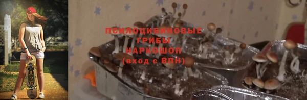ПСИЛОЦИБИНОВЫЕ ГРИБЫ Алексин