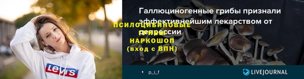 а пвп мука Абаза