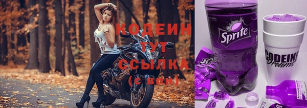 СК Абинск