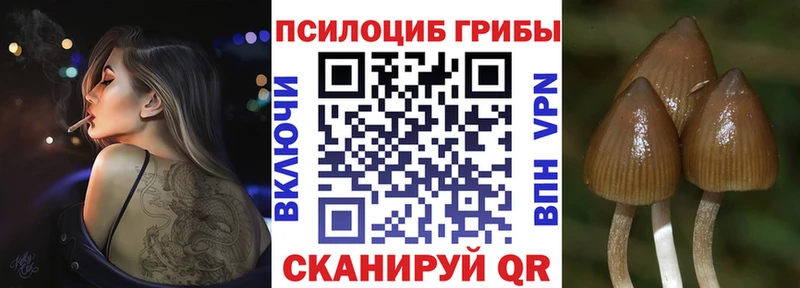 мега зеркало  Ковдор  Галлюциногенные грибы MAGIC MUSHROOMS 